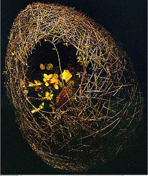 Tor_Gundersen_1
