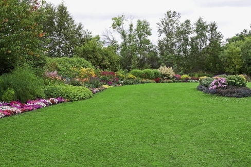 Green-lawn